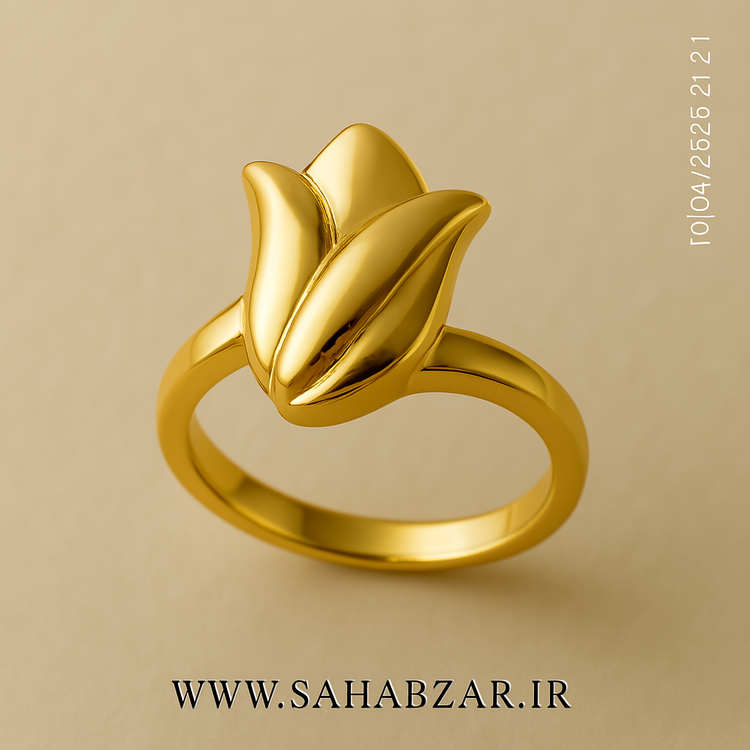 این کالا صرفا جهت نمایش است و موجودی ندارد